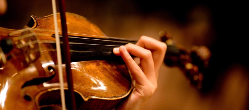 violin