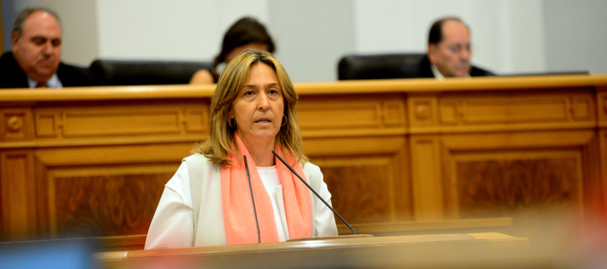 Ana Guarinos, en una invervención anterior en las Cortes regionales