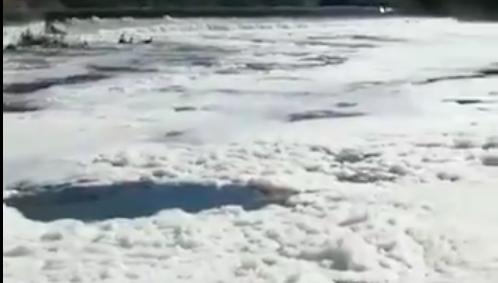 Así está el Tajo el 8 de febrero de 2018