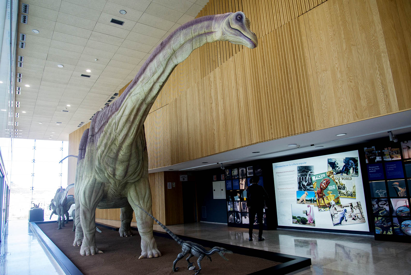 Museo de Paleontología de CLM: tras las huellas de los dinosaurios con