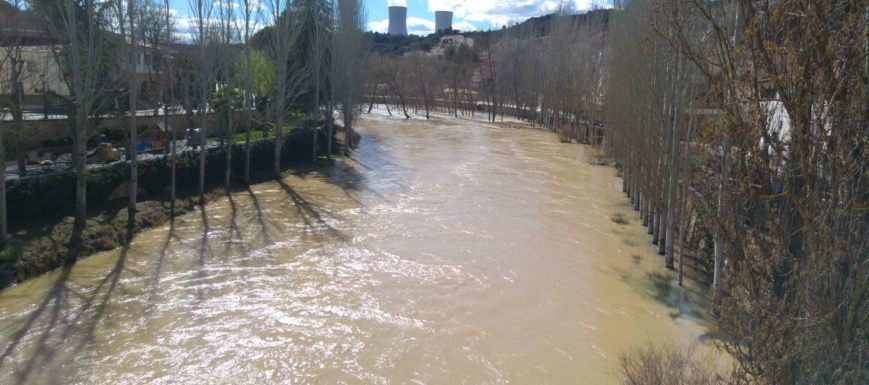 tajo_trillo