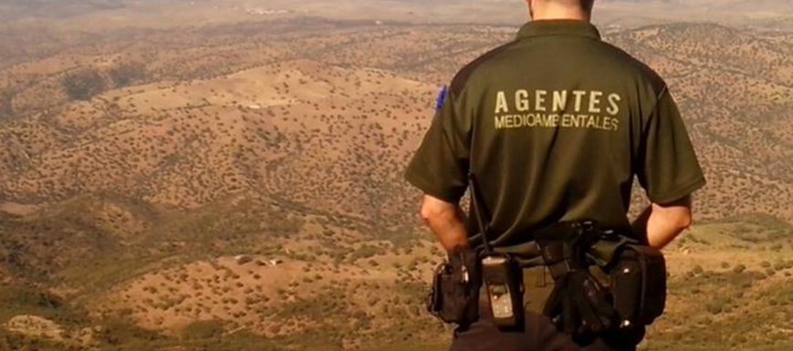 agente_medioambintal