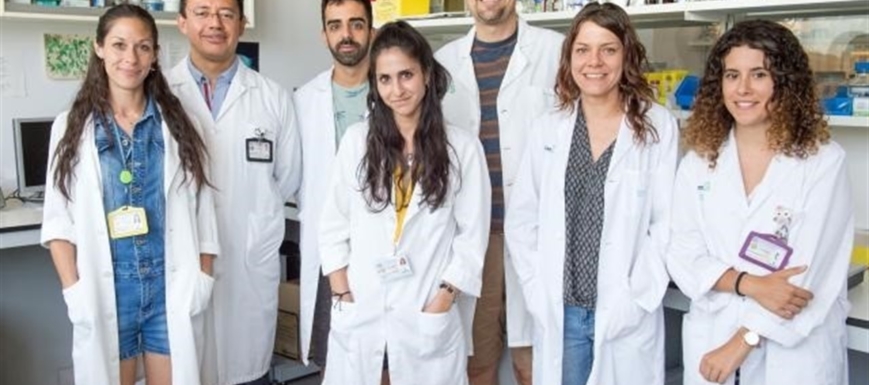 Miembros del Laboratorio de Reparación Neural y Biomateriales
