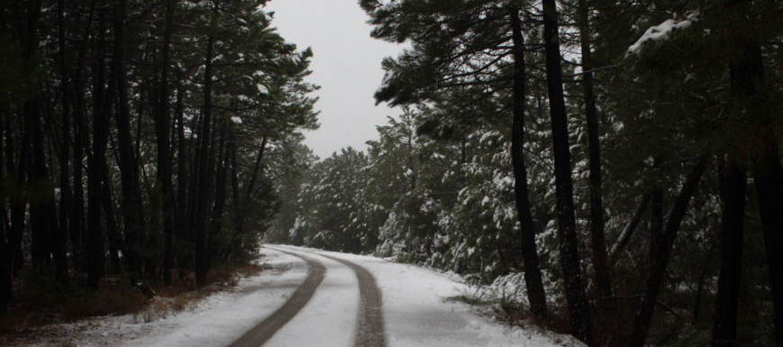 Nieve_Meteo_Albacete_2