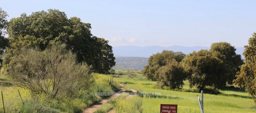 finca1