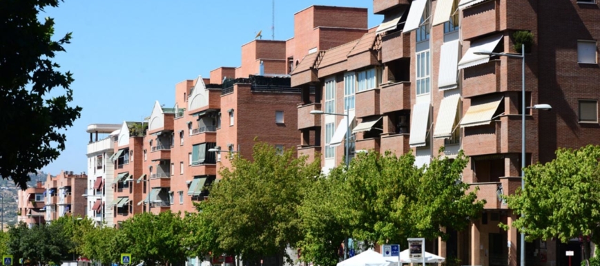 buenavistas_toledo