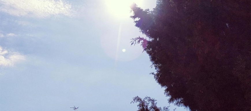 Las temperaturas bajan hasta 12 grados
