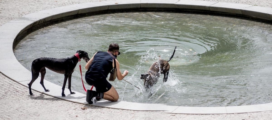 Llega el primer episodio de calor a España