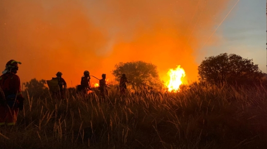 La UME, en el incendio de Toledo de junio de 2019