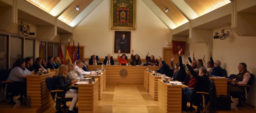pleno_ciudad_real