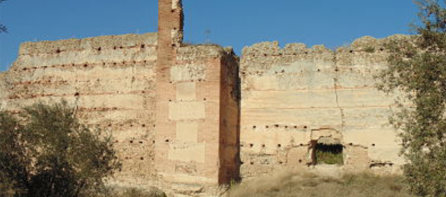 castillo_de_villalba_cebolla2