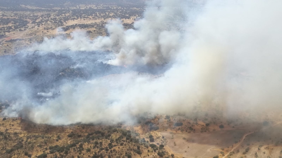 Nueve Medios Aereos Y 10 Terrestres En Un Incendio Forestal En La Estrella Toledo Enclm